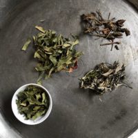 薬草と日本茶