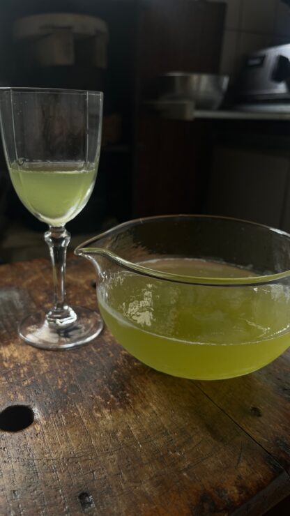 季節で楽しむお茶